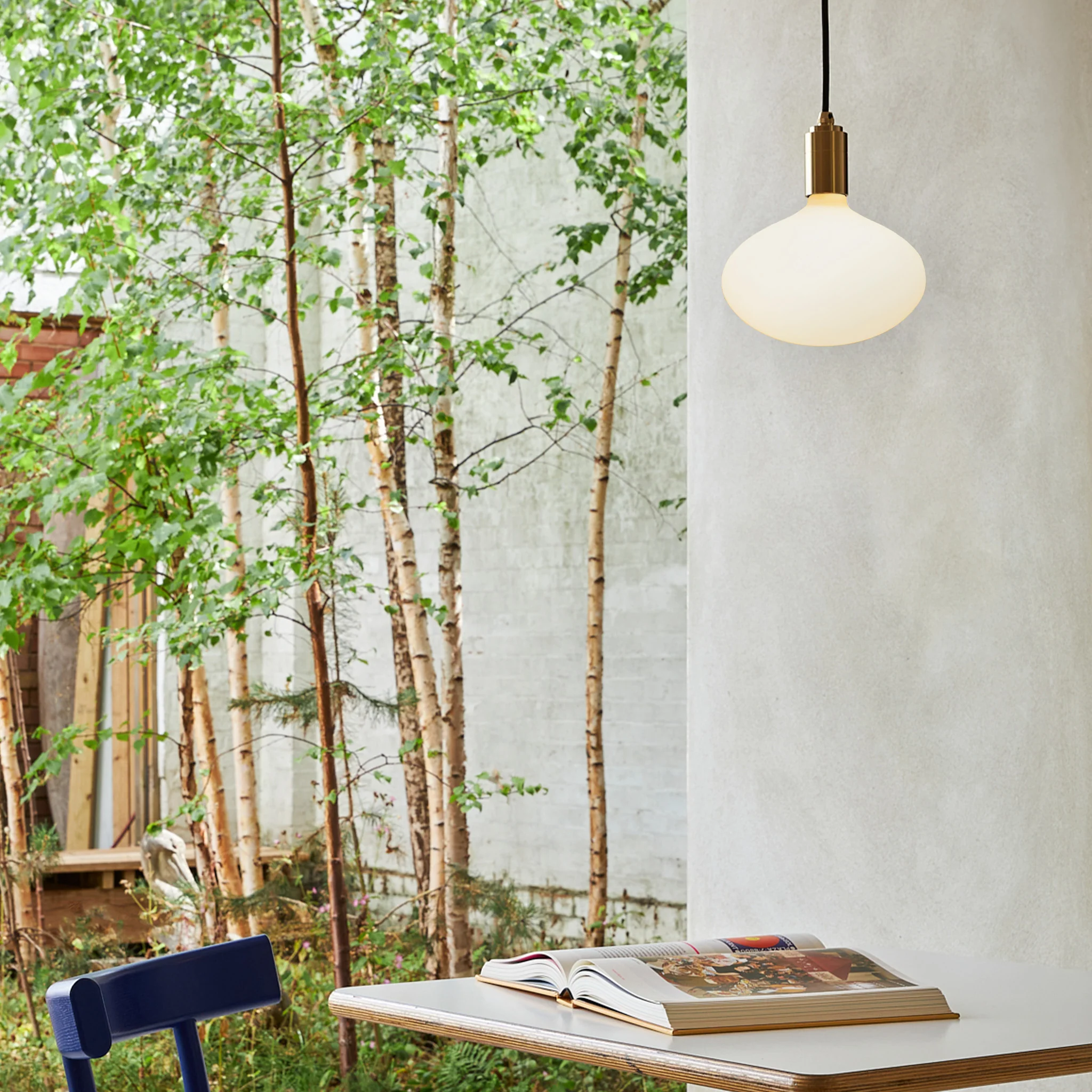 Oval II E27 Dim-to-Warm LED Bulb - Image 8